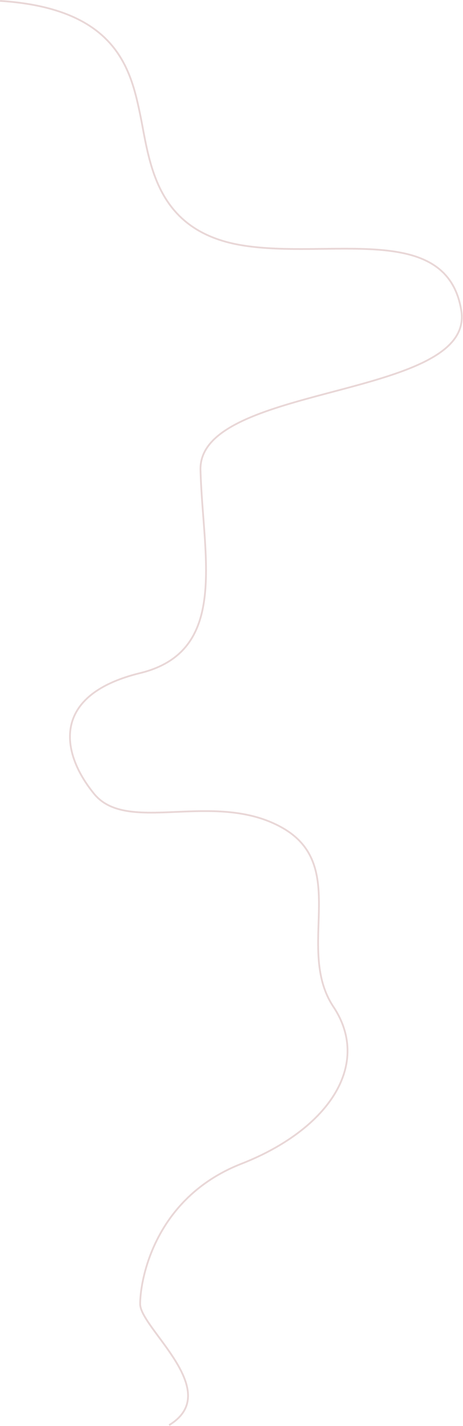 Linea di Collegamento